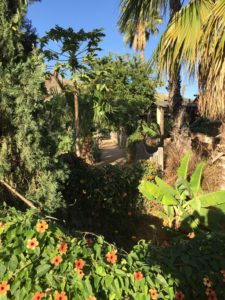Author Garry Ryan's photo of San Jose
